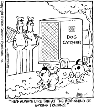 heathcliff